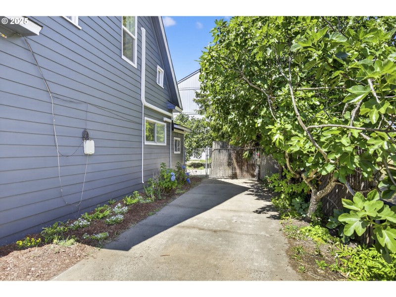Driveway