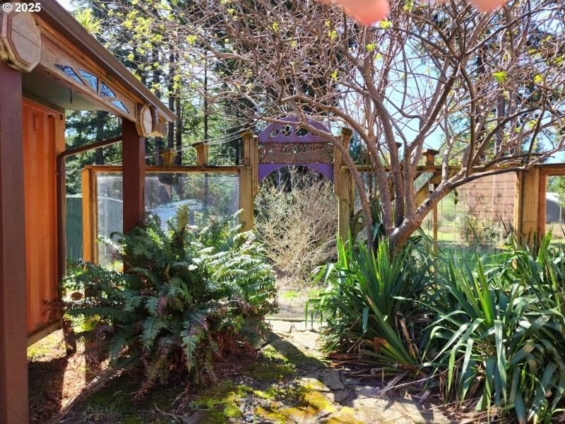 Front Yard