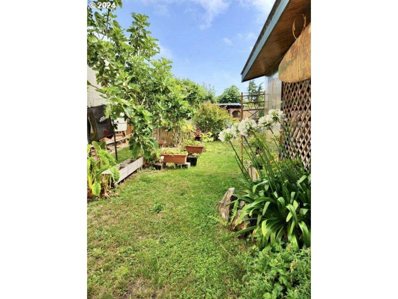 Yard