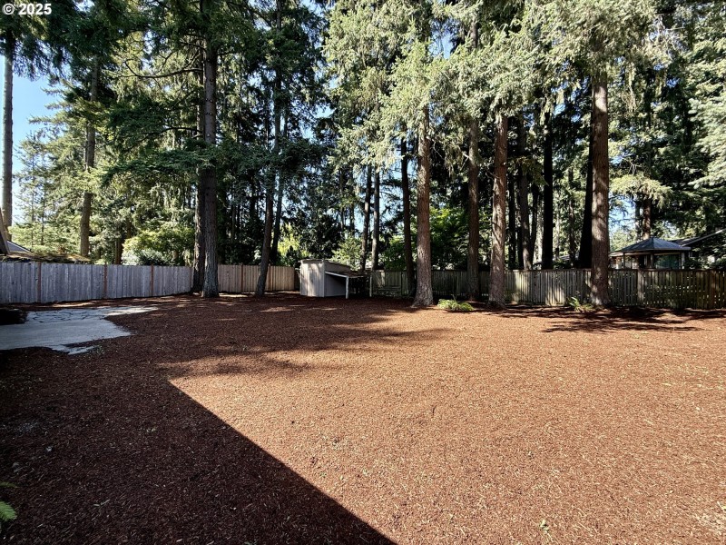 Yard