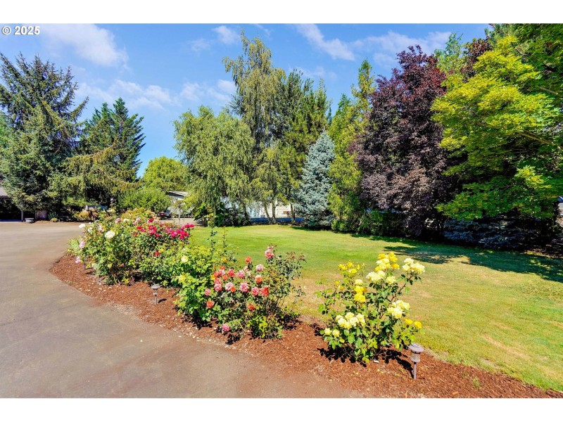 Front Yard