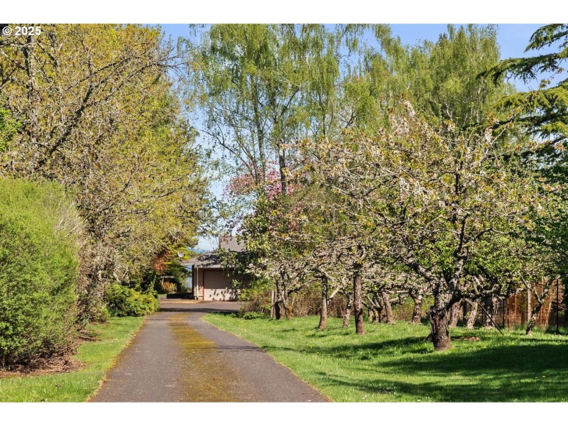 Driveway