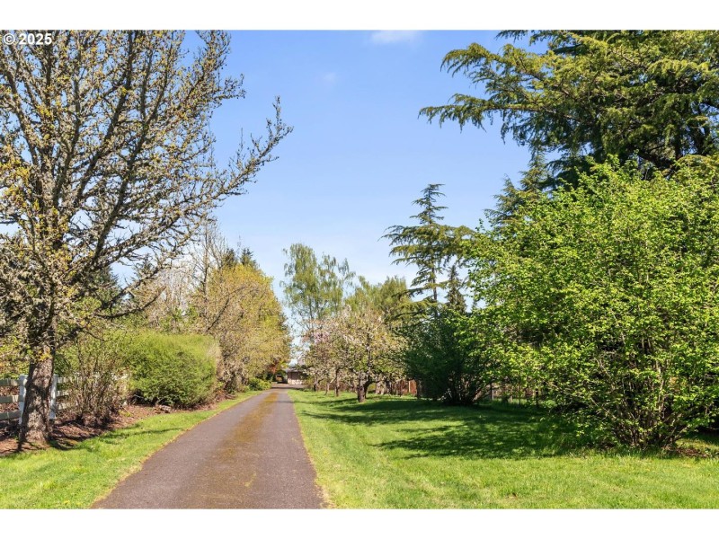 Driveway