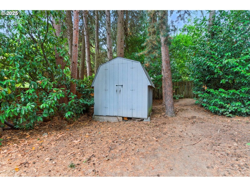 Shed