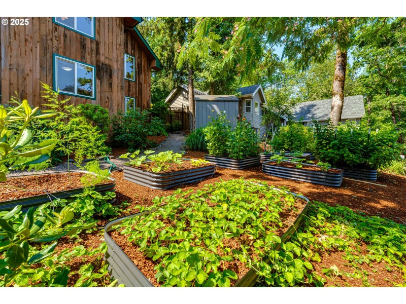 Front Yard