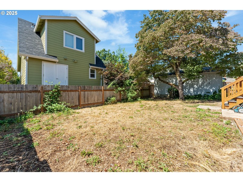 Backyard