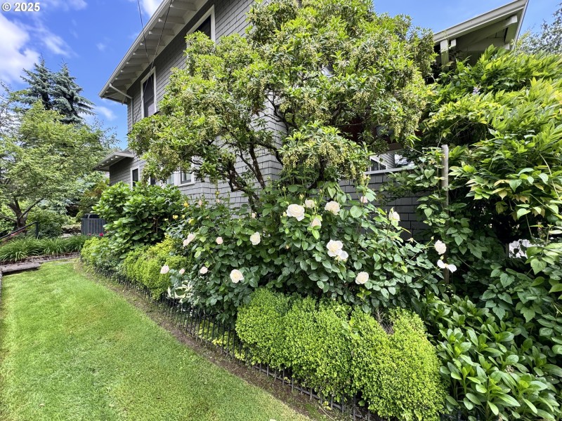 Yard