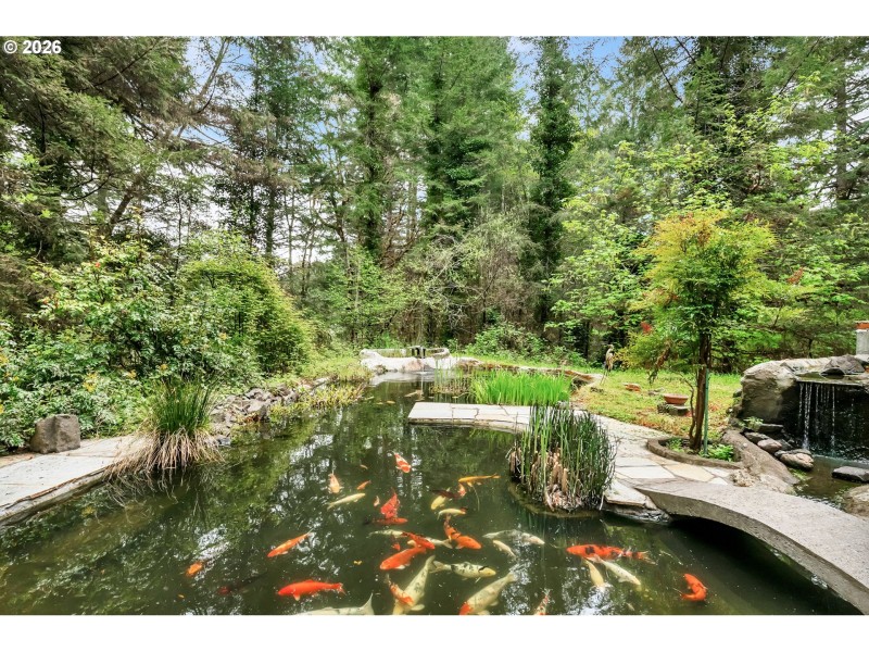 Pond
