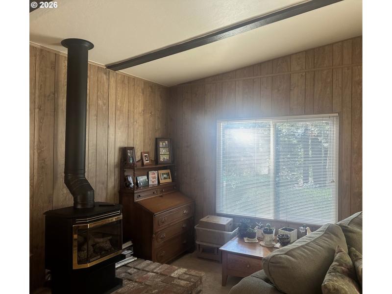 Fireplace Gas Burning Stove/Insert