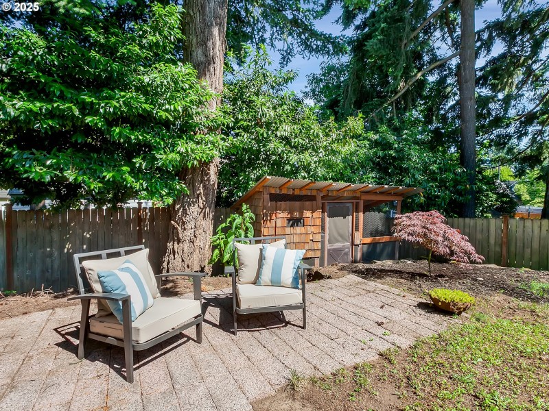 Backyard