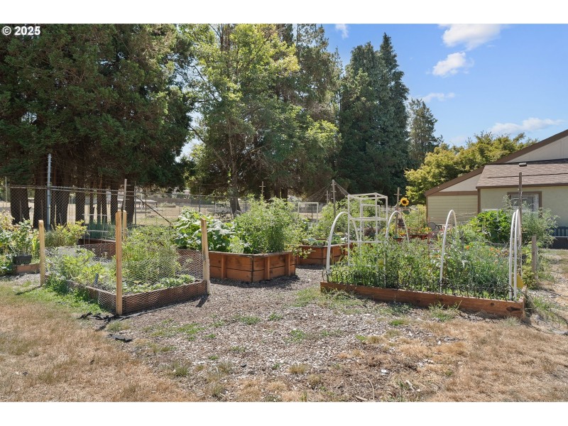 Community Garden