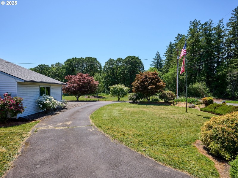 Front Yard