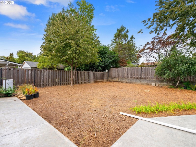 Yard