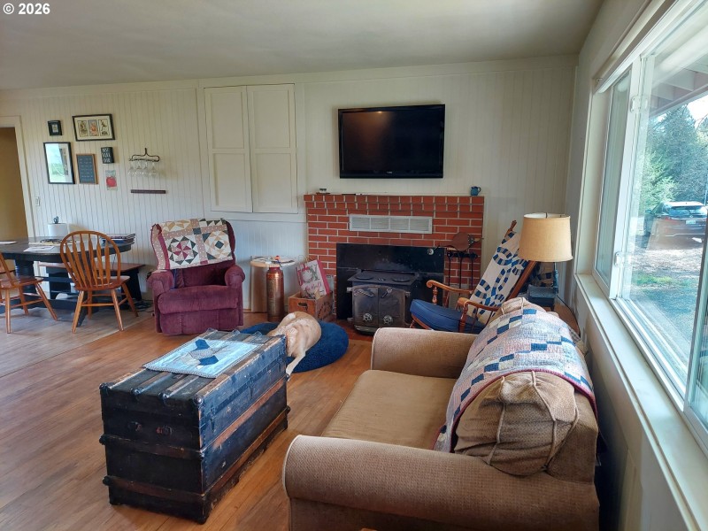 Fireplace Insert