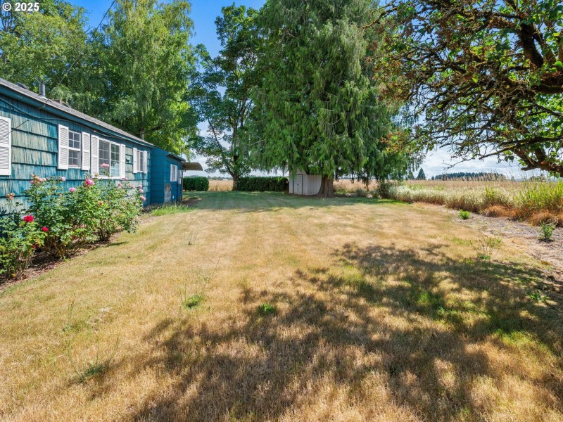 Yard