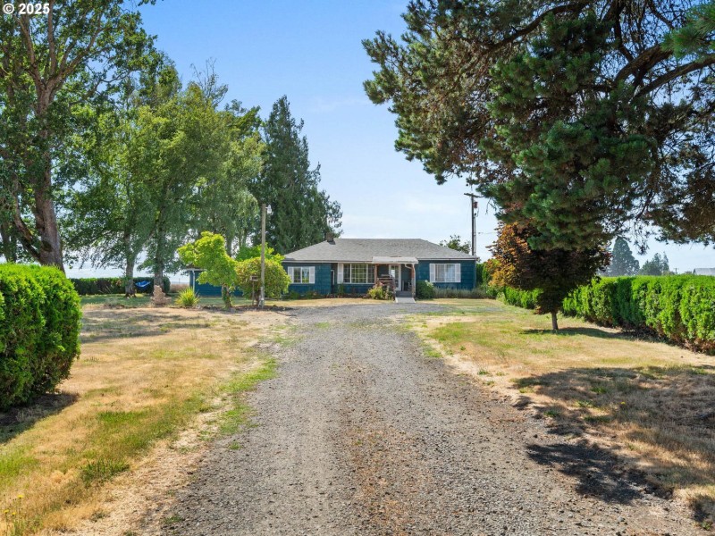 Driveway