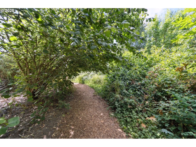Green Space