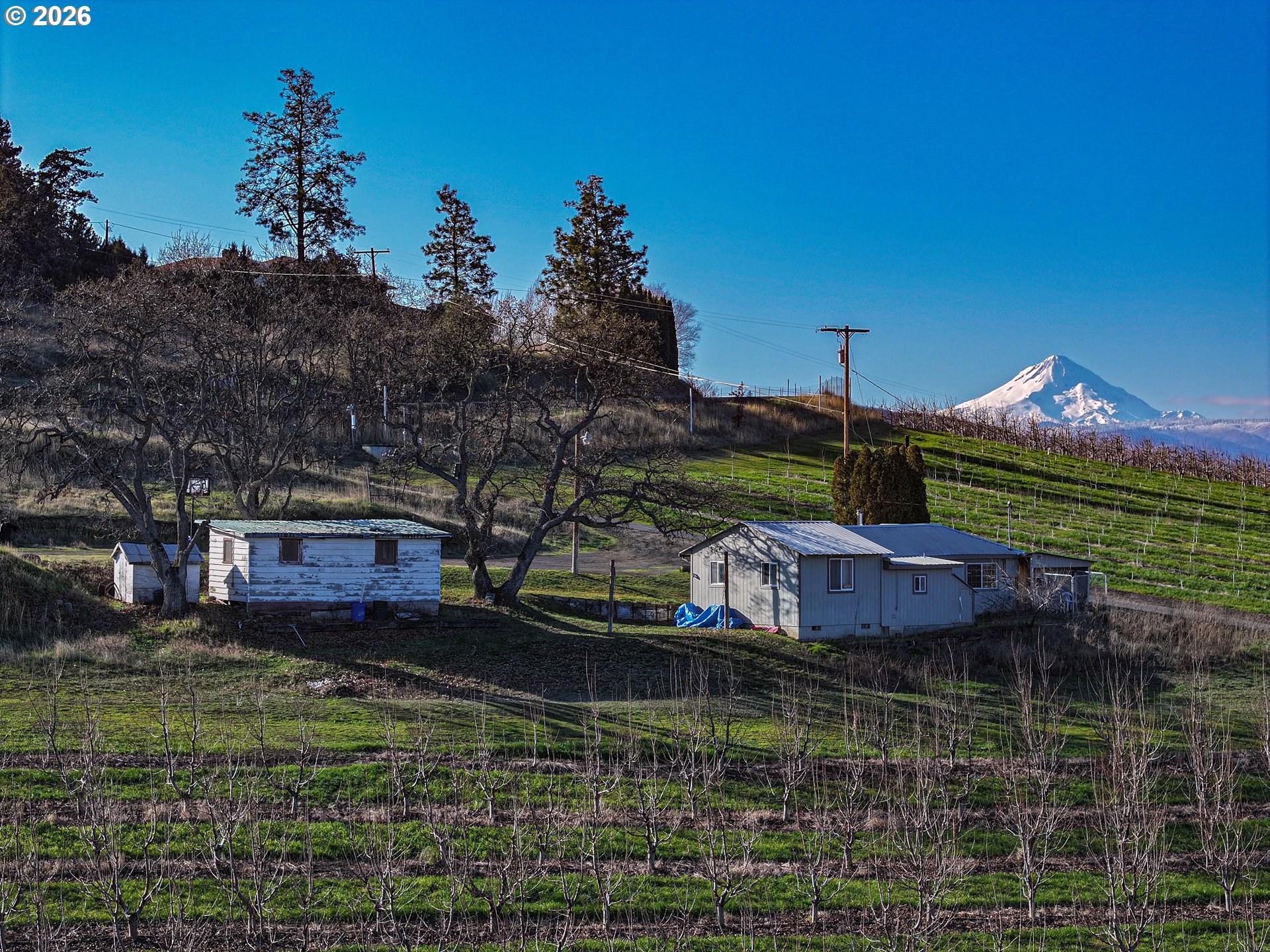 3699 SKYLINE RD, TheDalles, OR 97058