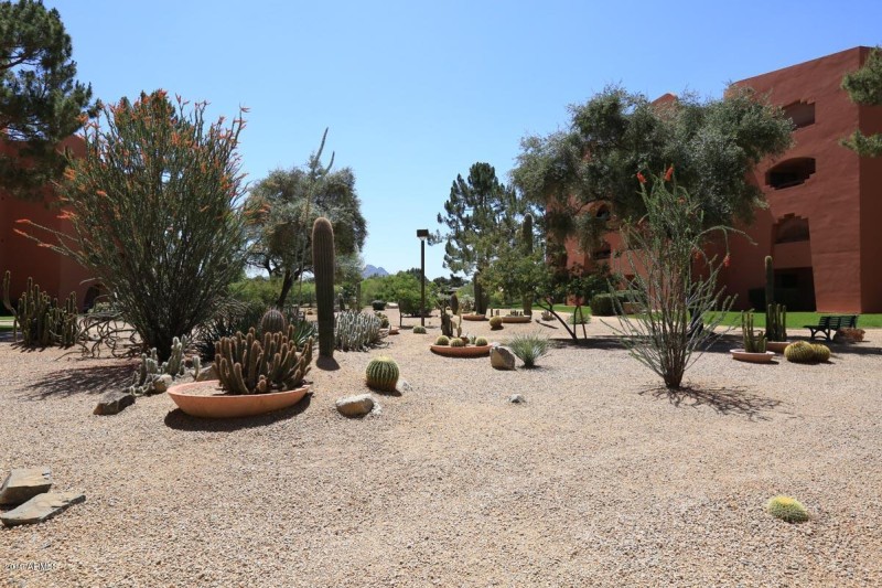 Anasazi Village-Cactus Garden