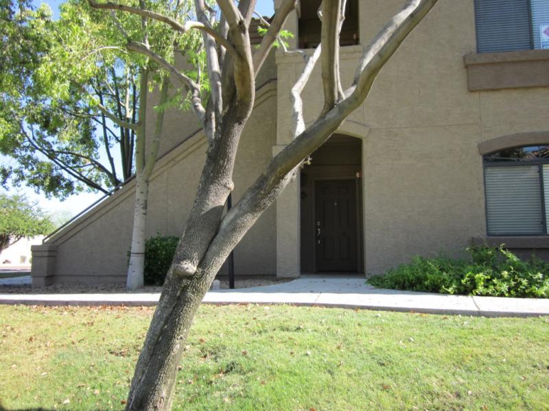 Exterior Entry Area to #1062