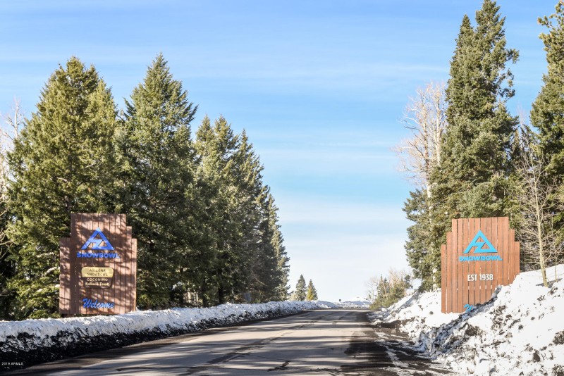 8950 W Antoinette Way-0066