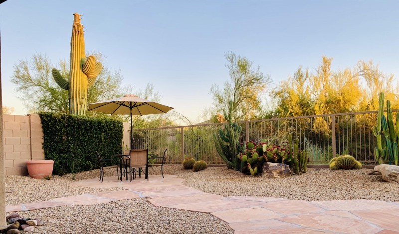 Open natural space at backyard