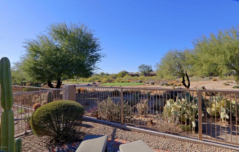 Backyard and Views 2