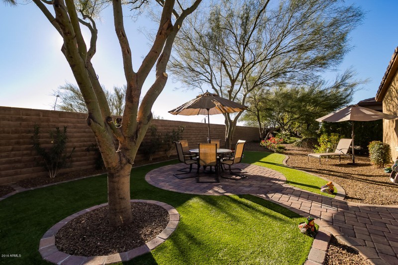 Private South Facing Rear Yard