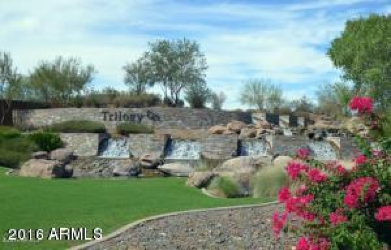 Desert Colors Welcome You