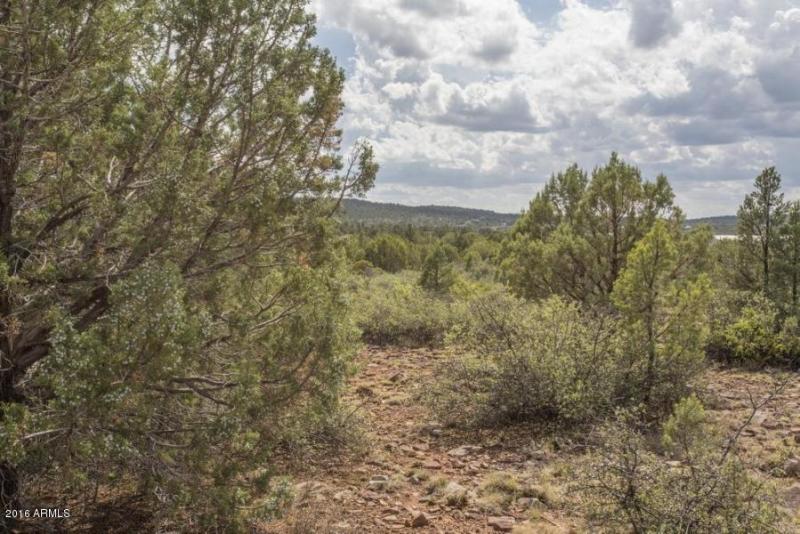 20160705231030386740000000-o[1]