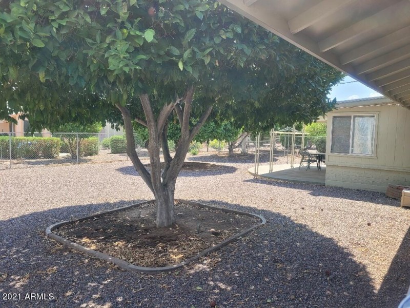 20210720_141255_resized