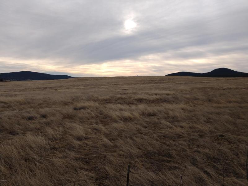 IMG_20190307_081000609