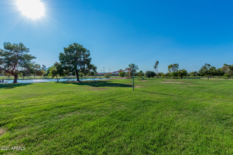 0028-28 - Orange Blossom