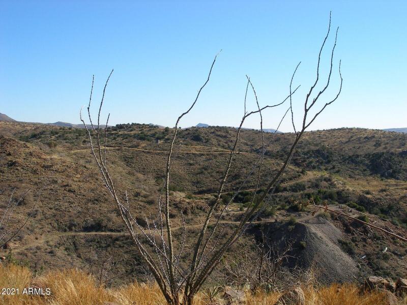 View of old mill site from atop Patty's