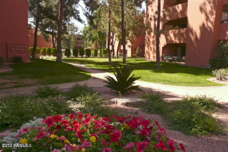 COLORFUL ANASAZI CACTUS GARDEN