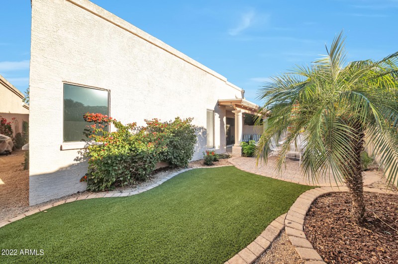 Newly Lanscaped Yard