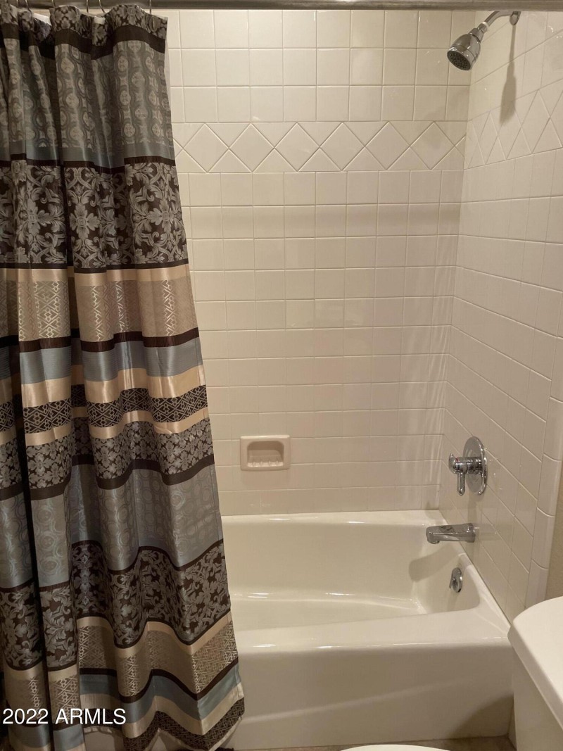 Bath Tub and Shower Combo