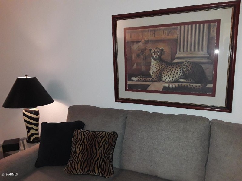 monaco lr cheetah artwork aug 2019