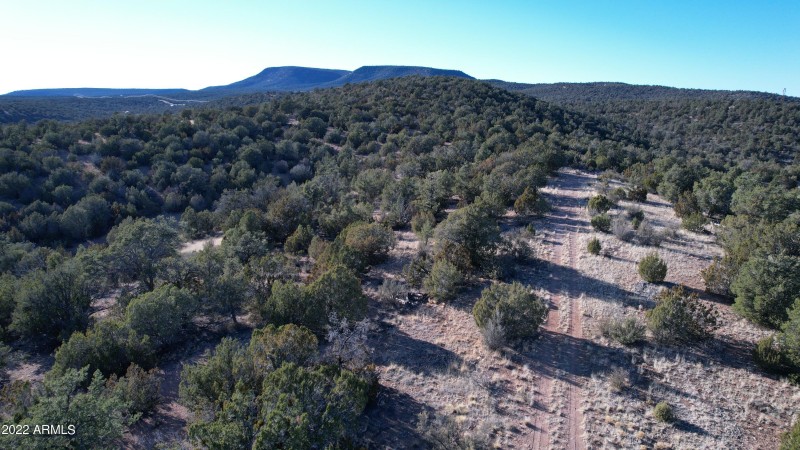 DJI_0186