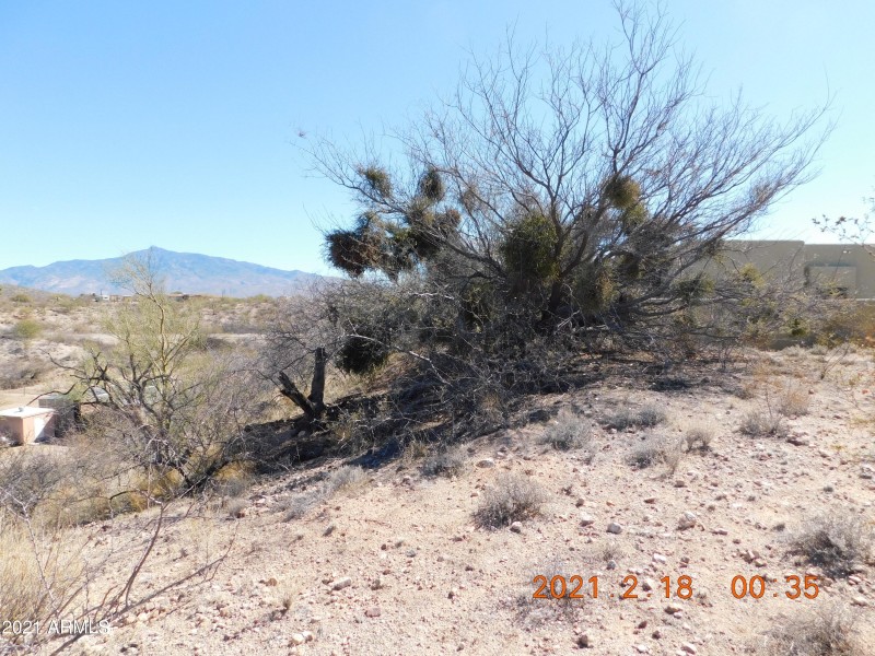 DSCN0527