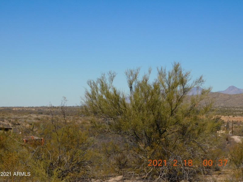 DSCN0536