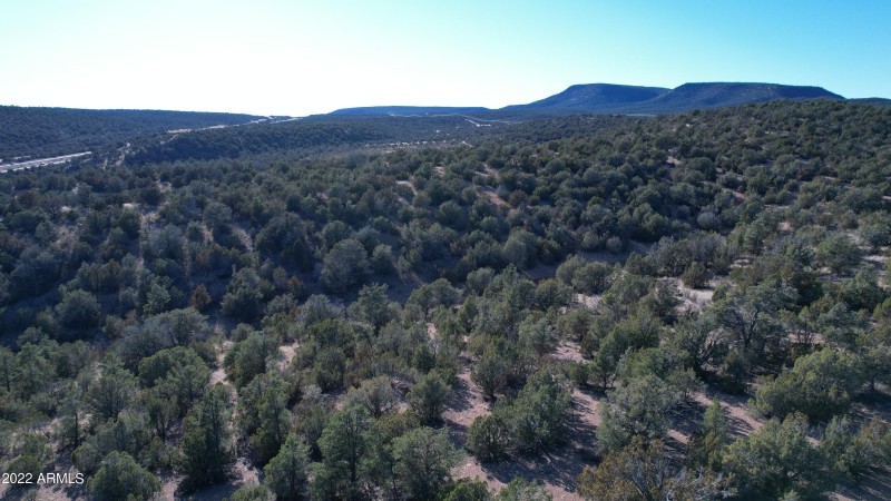 DJI_0155