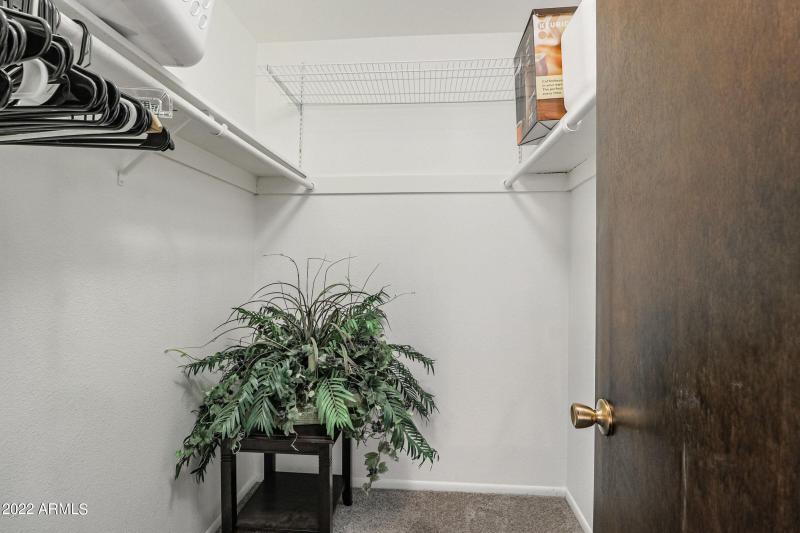 Master Walk in Closet