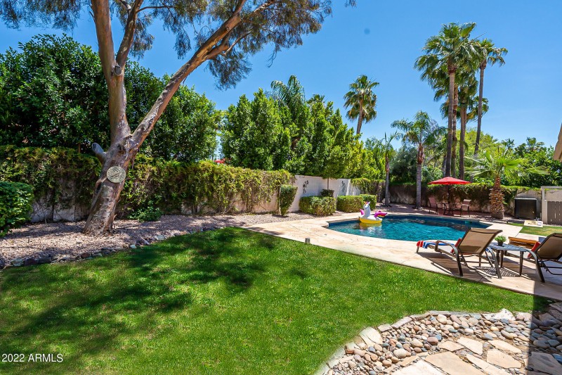 Grassy Area for Kids and Pets