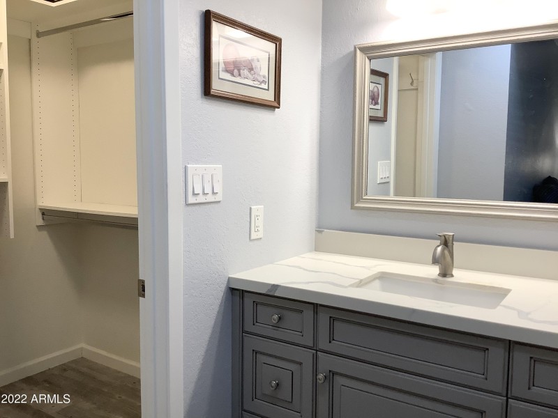 Master Bath/Walk-in closet