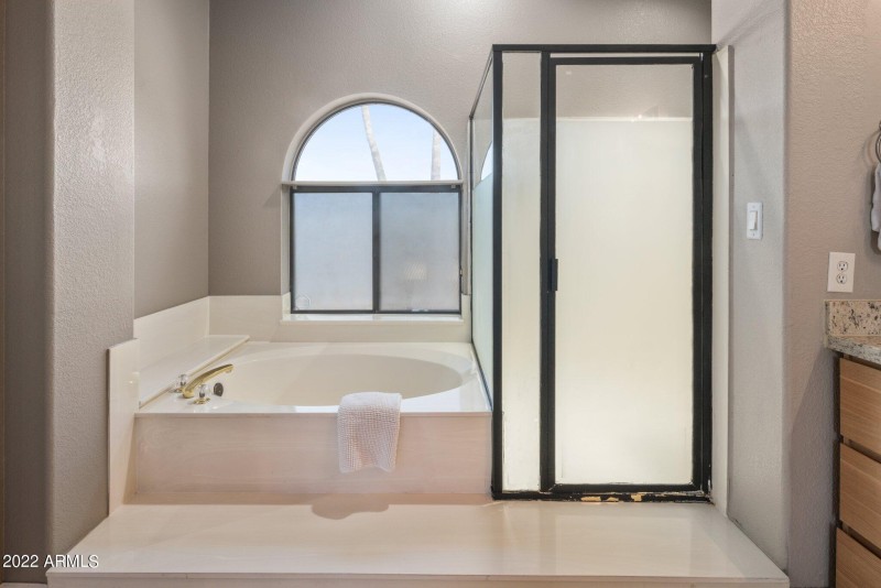 Master Bathroom Separate Tub & Shower