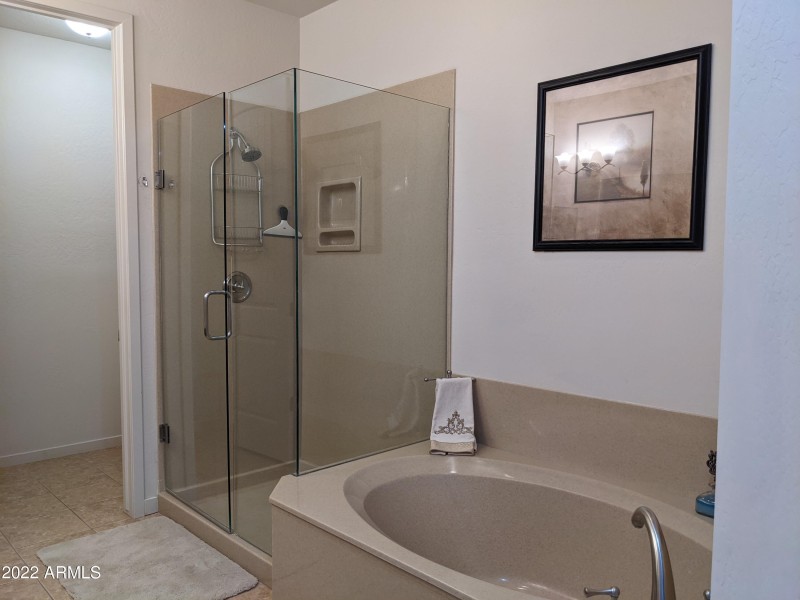Walk-in Shower and Soaking Tub