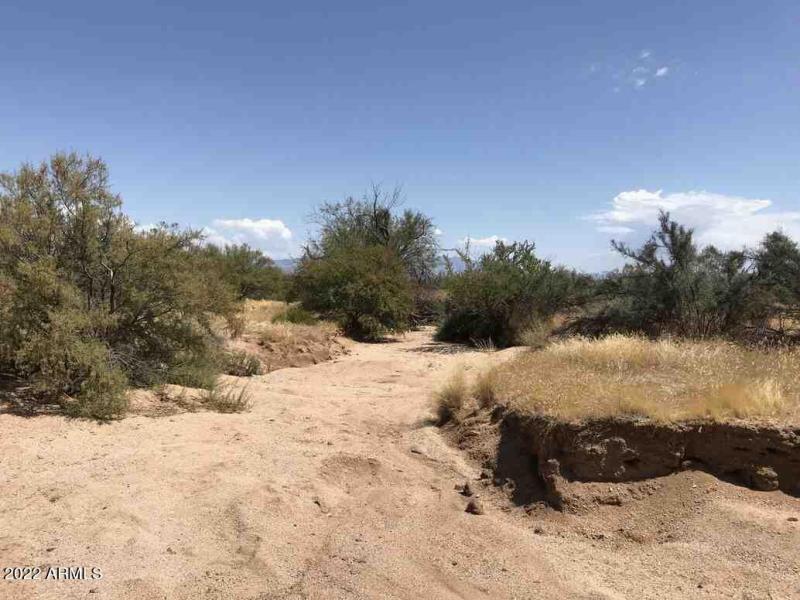 216.77.044 18.34 Acres Wash running thro