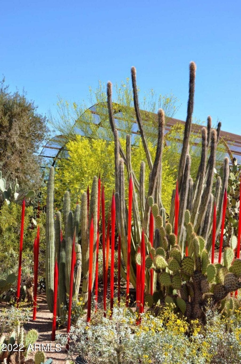 Chihuly-Art-Desert-Botanical-Garden-1024