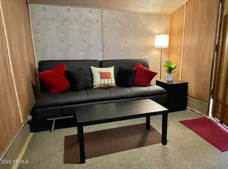 Full Size Euro Bed/Sofa